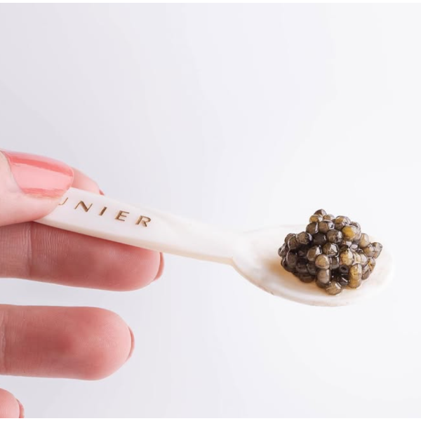 Mother-of-pearl spoon and case