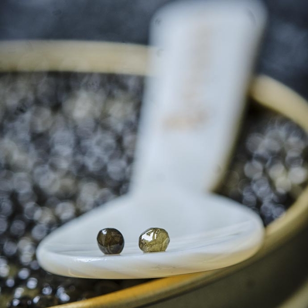 Caviar Pearls