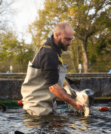 Bassin à esturgeons, Prunier Manufacture en Aquitaine