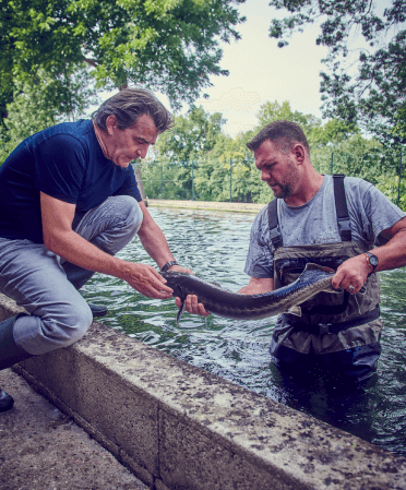 Yannick alléno Esturgeon Prunier Manufacture Aquitaine