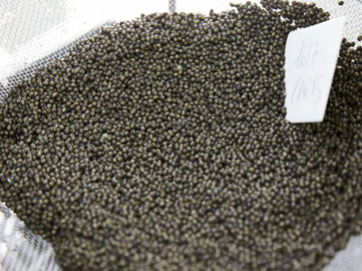 Preparing caviar: salting